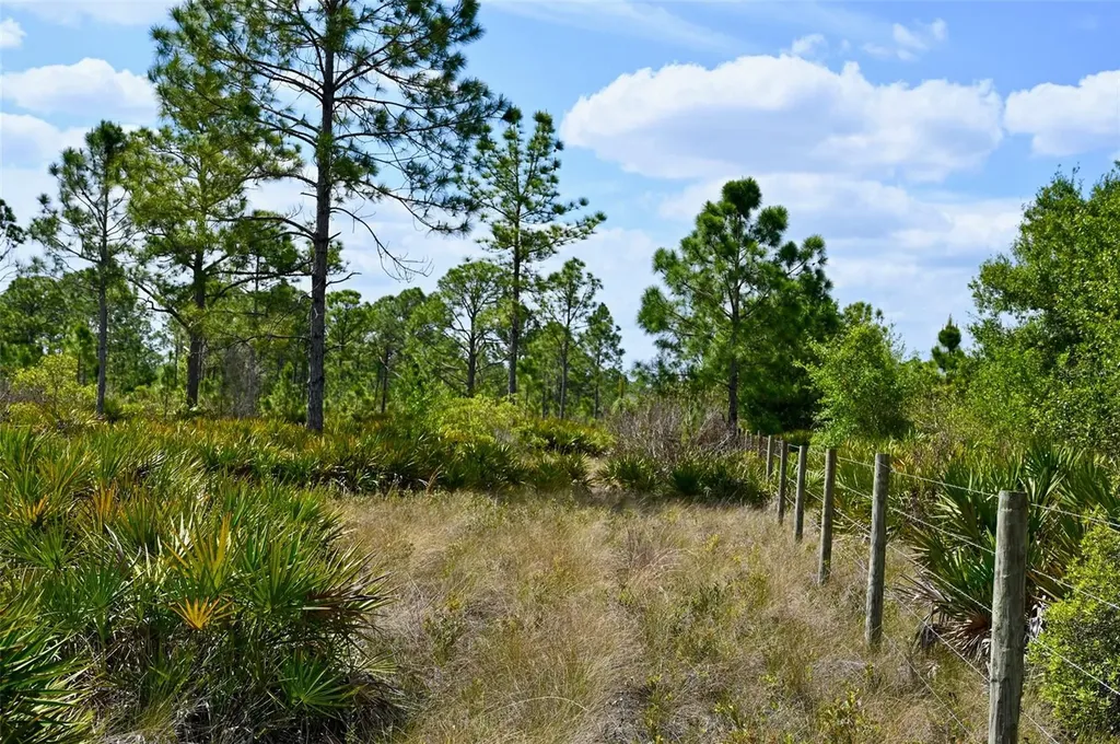 47200 Bermont Road Punta Gorda FL 33982