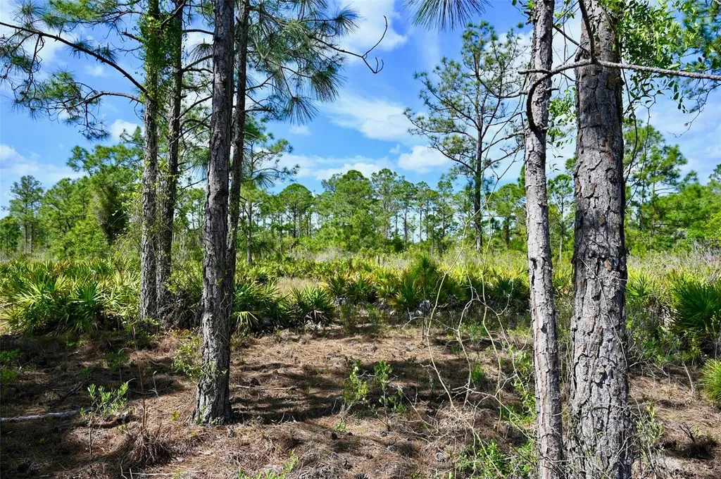 47200 Bermont Road Punta Gorda FL 33982