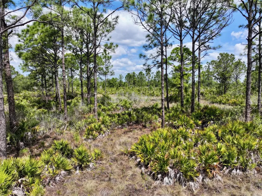 47200 Bermont Road Punta Gorda FL 33982