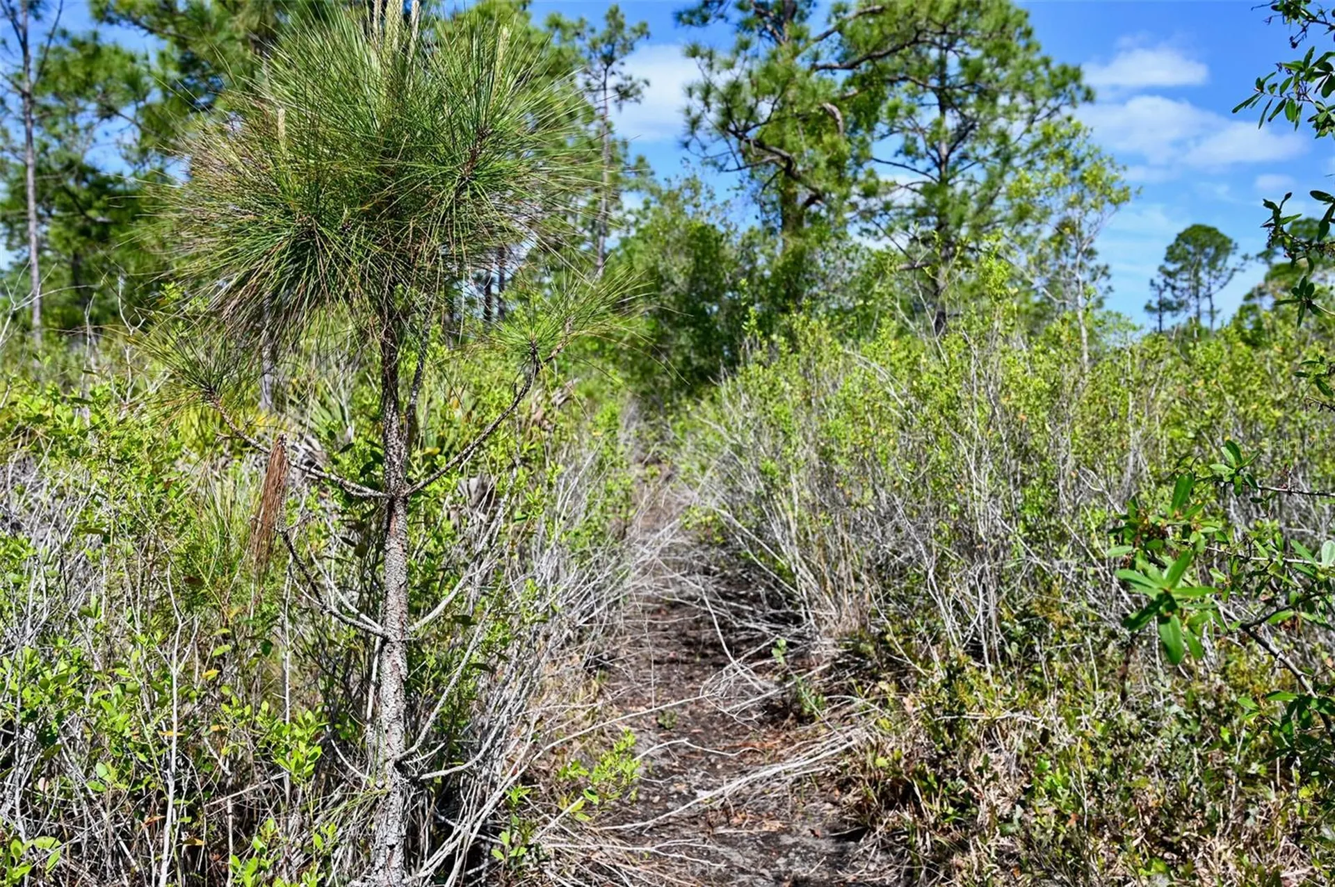 47200 Bermont Road Punta Gorda FL 33982