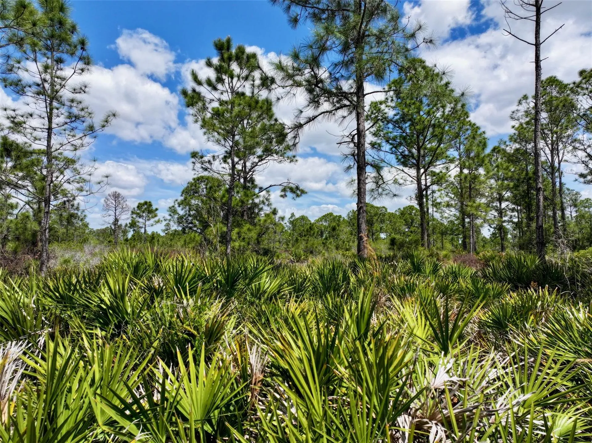 47200 Bermont Road Punta Gorda FL 33982