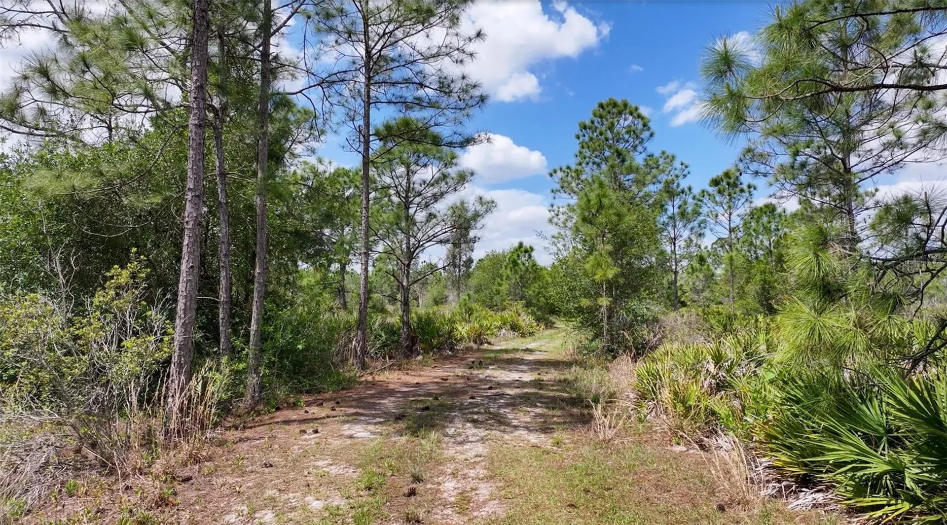 47200 Bermont Road Punta Gorda FL 33982