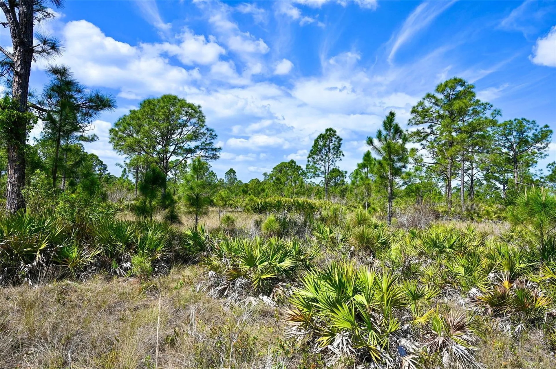 47200 Bermont Road Punta Gorda FL 33982