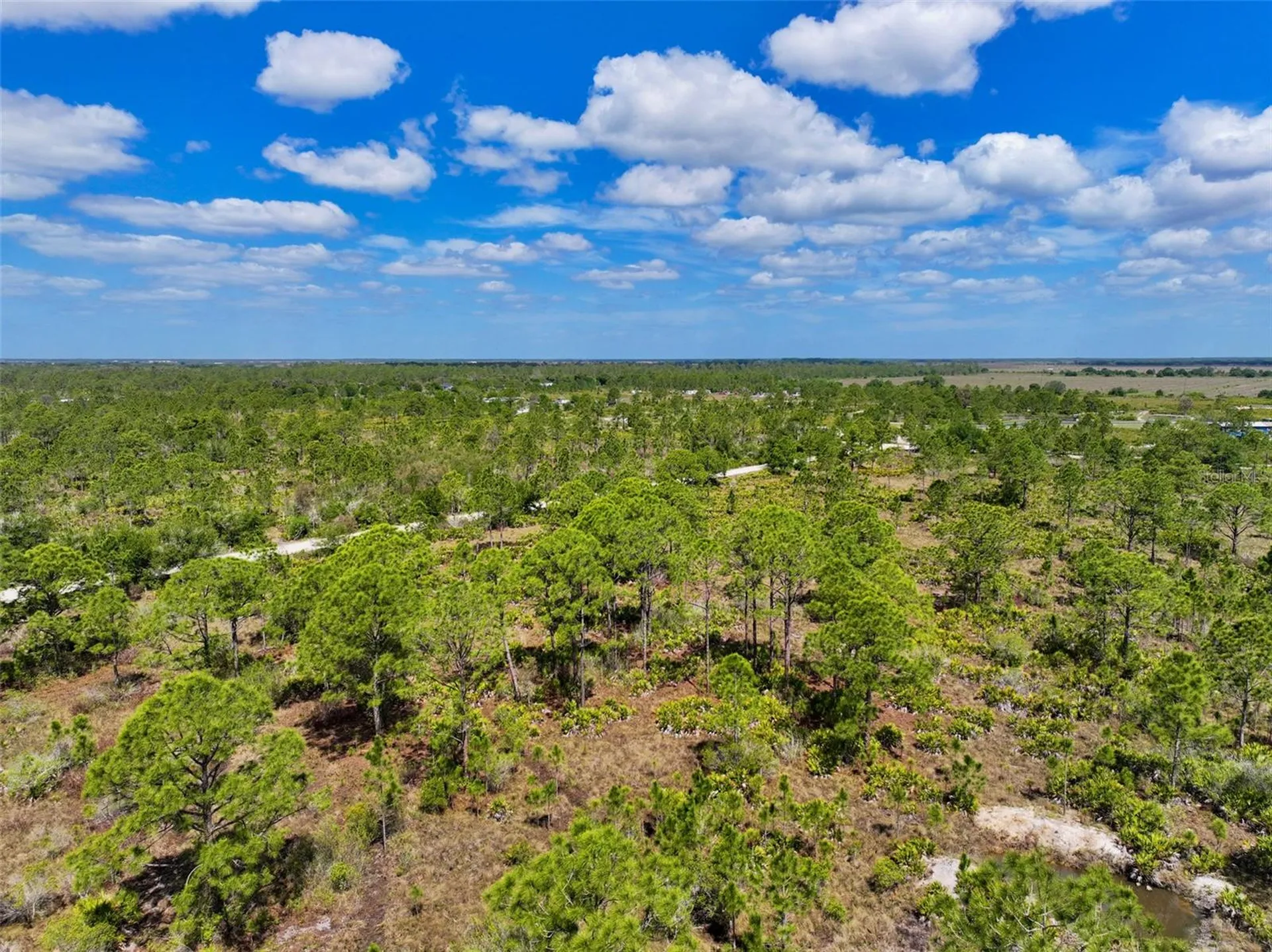 47200 Bermont Road Punta Gorda FL 33982