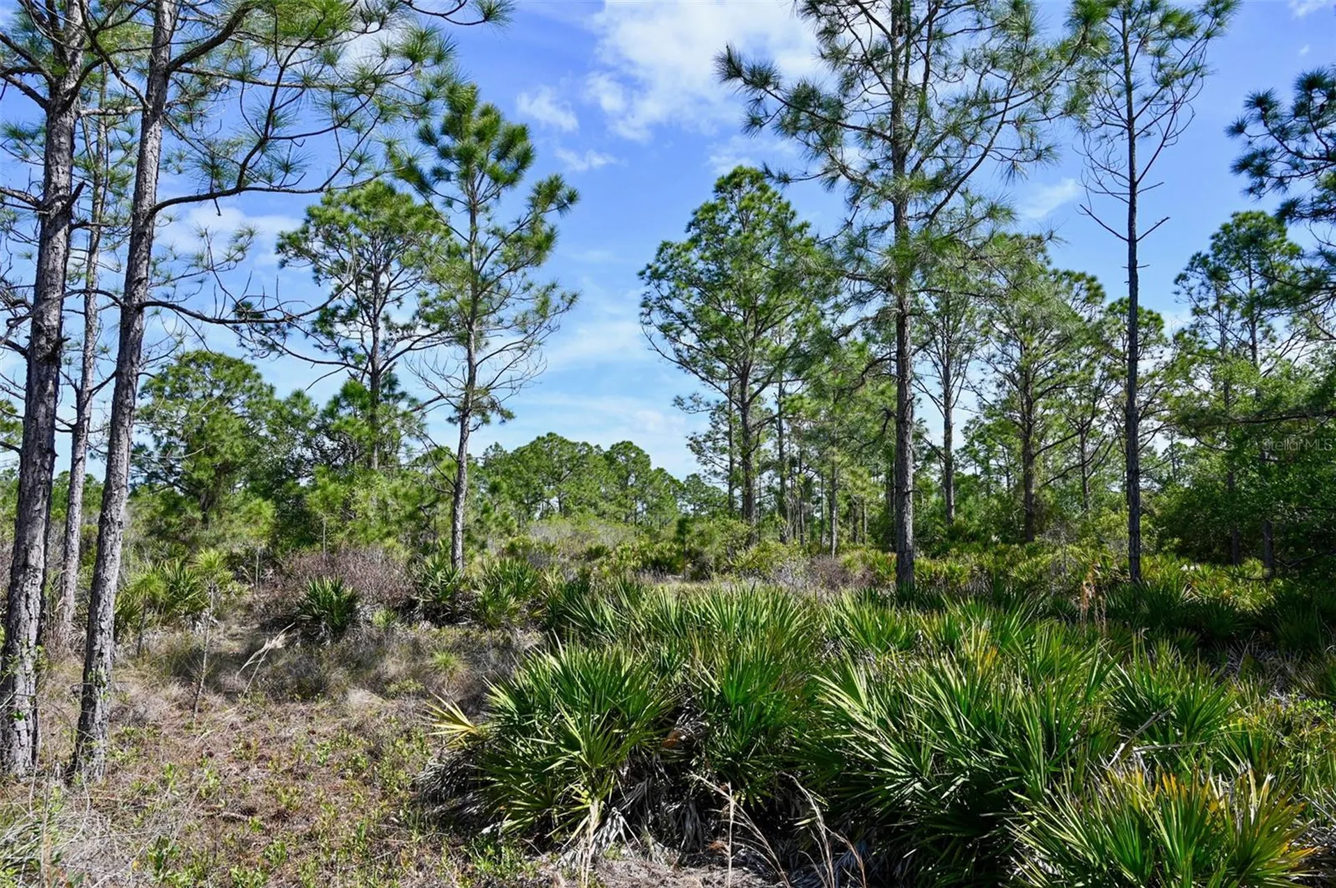 47200 Bermont Road Punta Gorda FL 33982