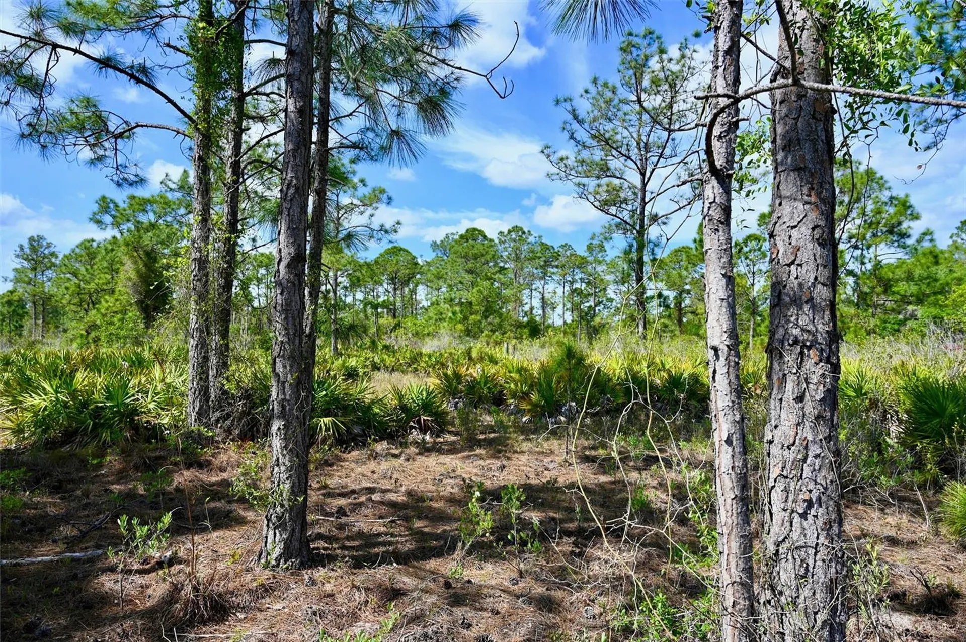 47200 Bermont Road Punta Gorda FL 33982