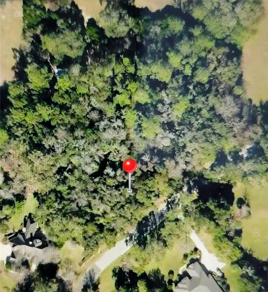 00 SE 12th Circle Ocala FL 34480