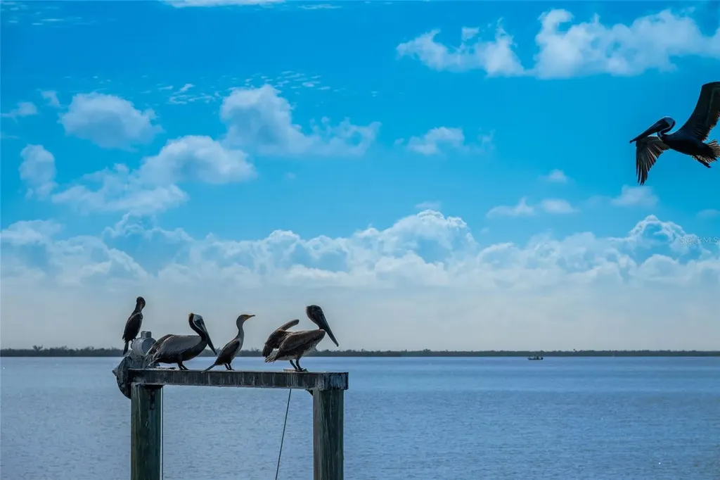 4130 Snail Island Court Boca Grande FL 33921
