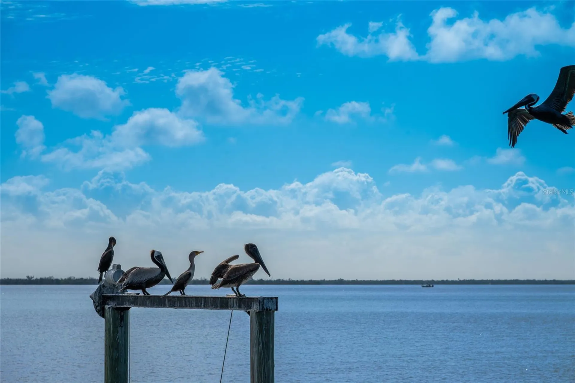 4130 Snail Island Court Boca Grande FL 33921