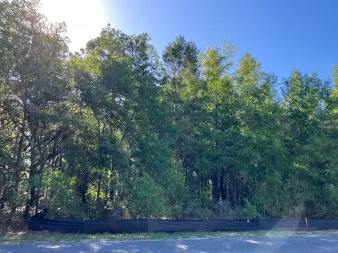 8227 N Galena Avenue Citrus Springs FL 34434