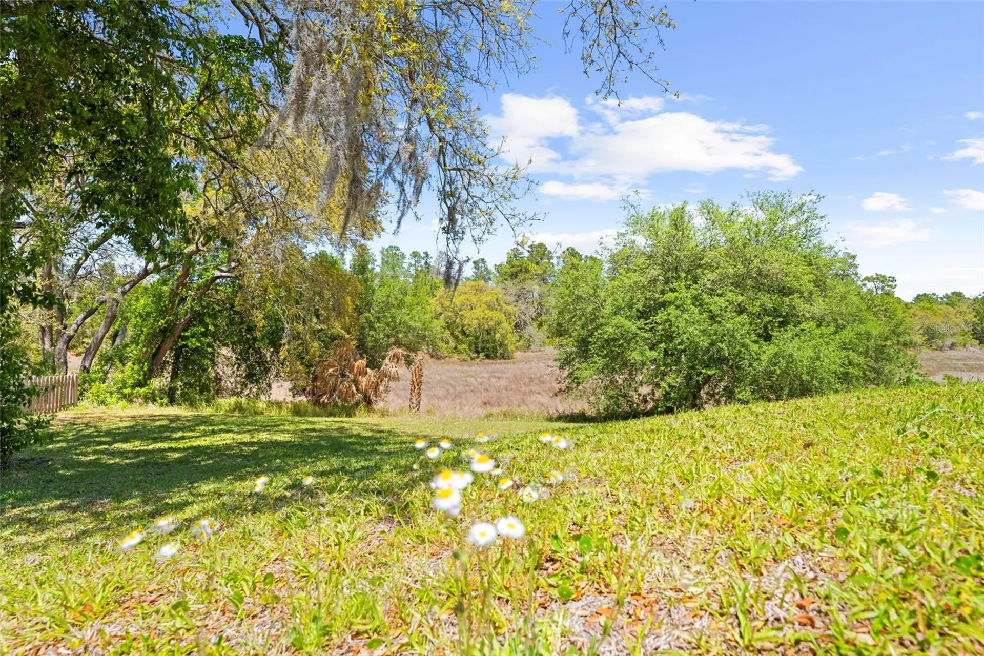 4488 Bluewater Avenue Spring Hill FL 34606