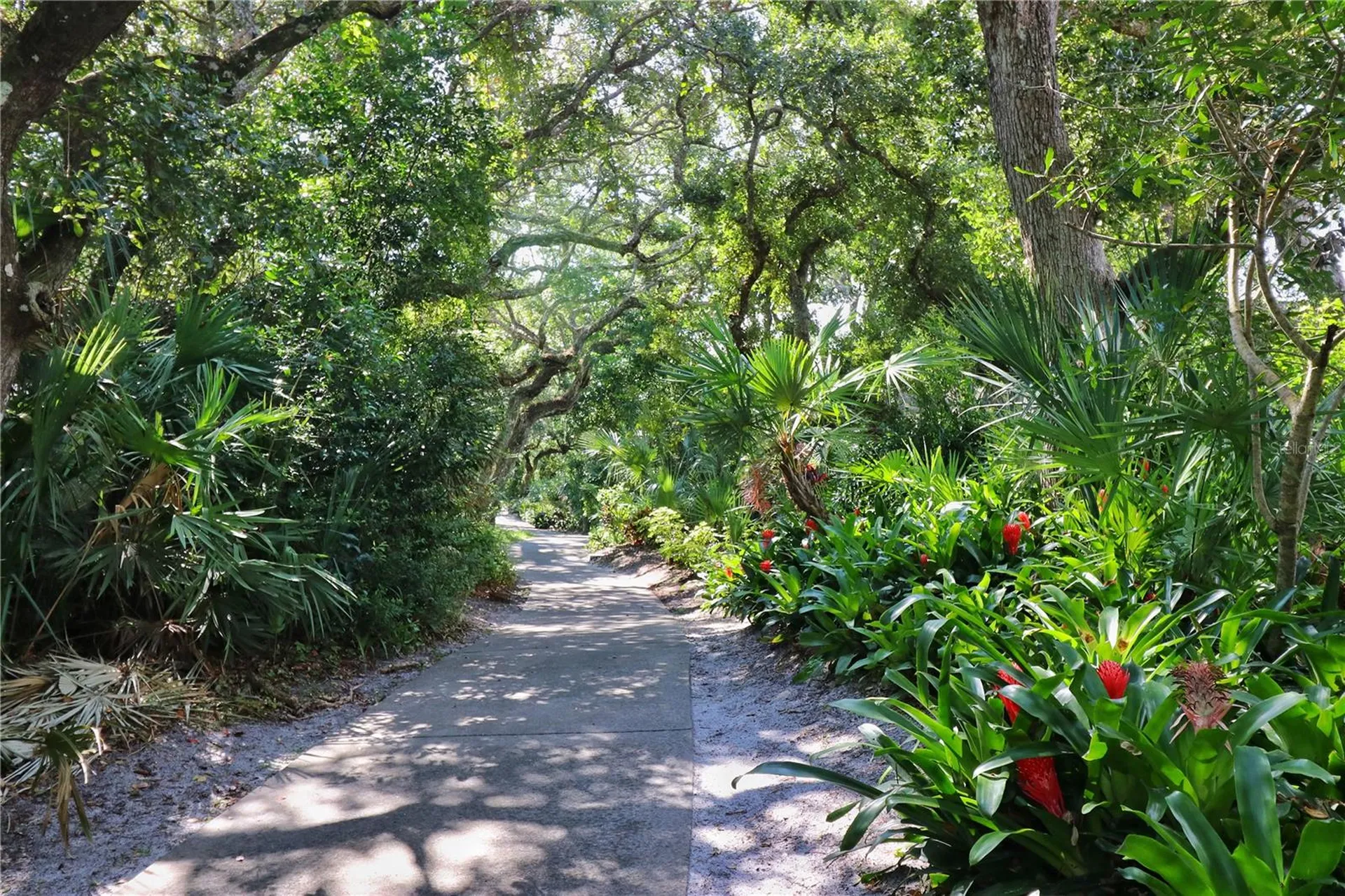 4405 Sea Mist Drive New Smyrna Beach FL 32169
