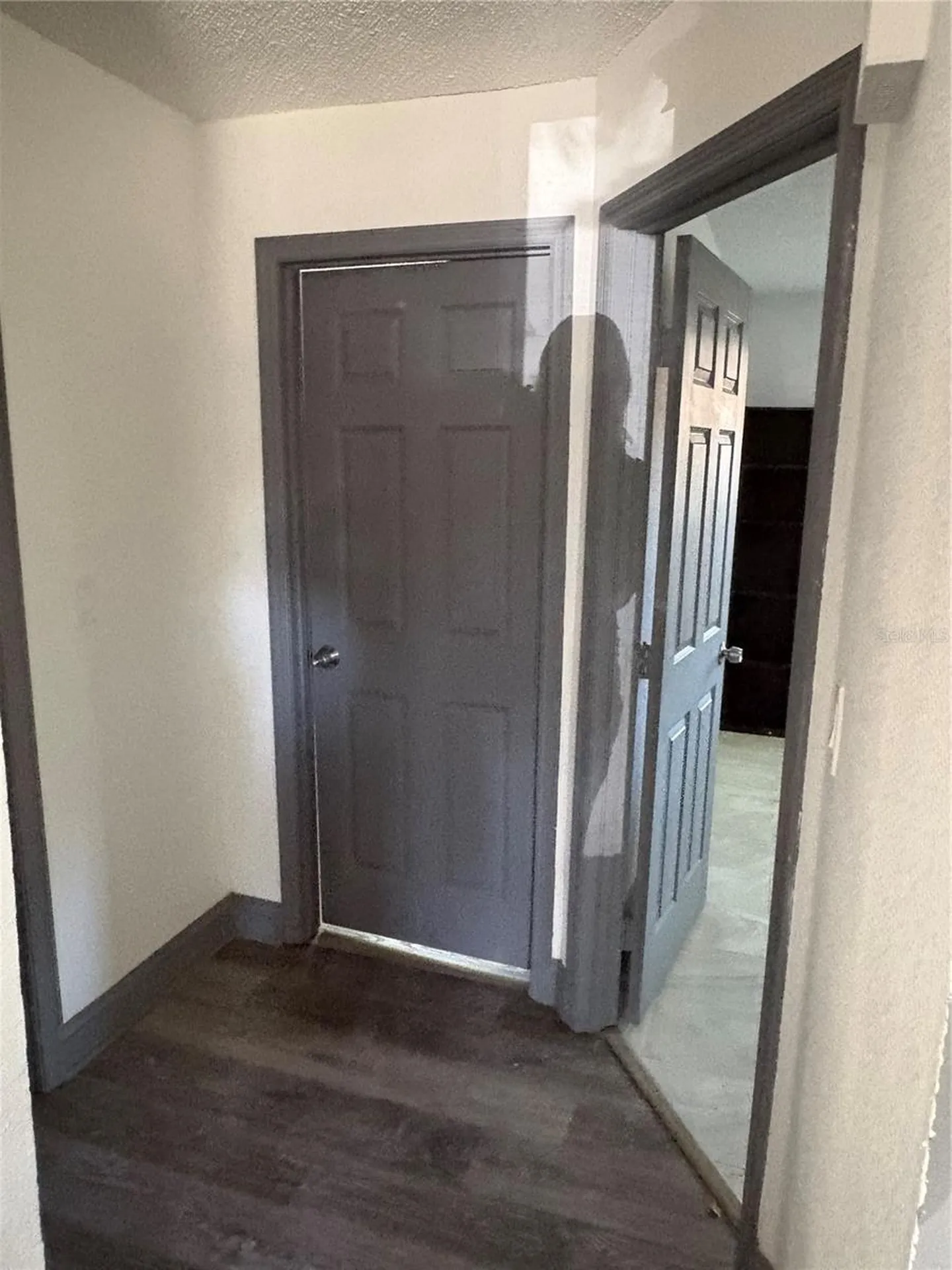 7019 N Willow Avenue Tampa FL 33604