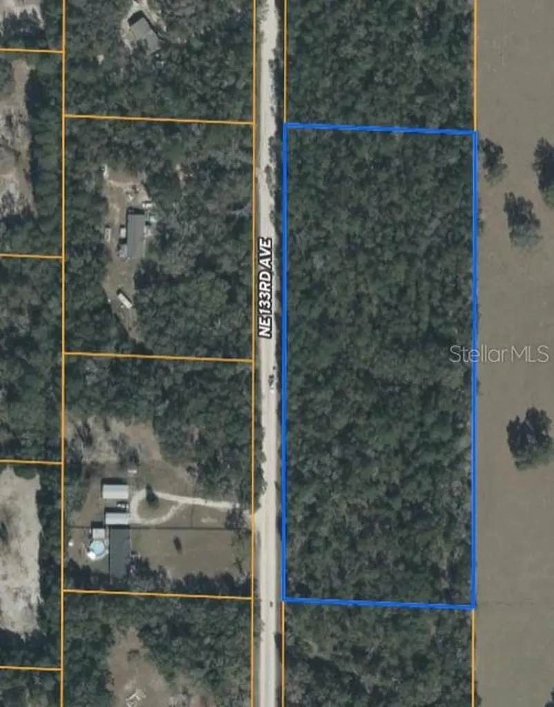 0 NE 133rd Avenue Williston FL 32696