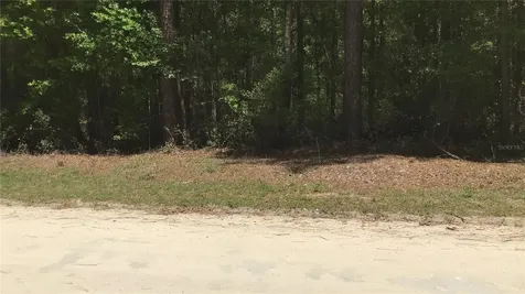 0 NE 133rd Avenue Williston FL 32696