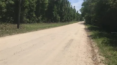 0 NE 133rd Avenue Williston FL 32696