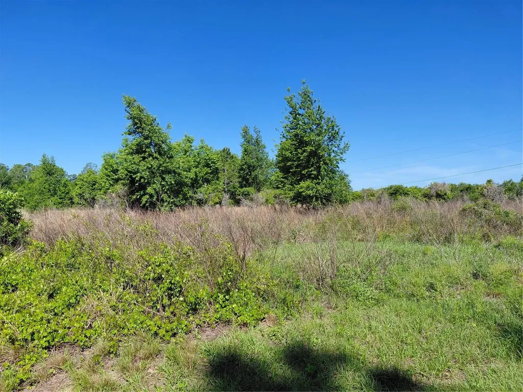 Coffee Creek Lane Clermont FL 34711