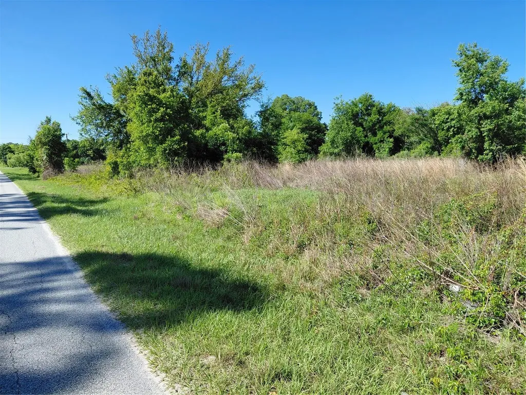 Coffee Creek Lane Clermont FL 34711