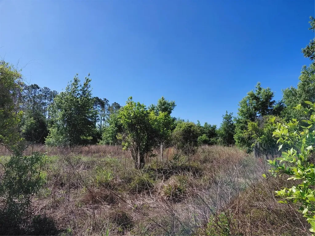Coffee Creek Lane Clermont FL 34711