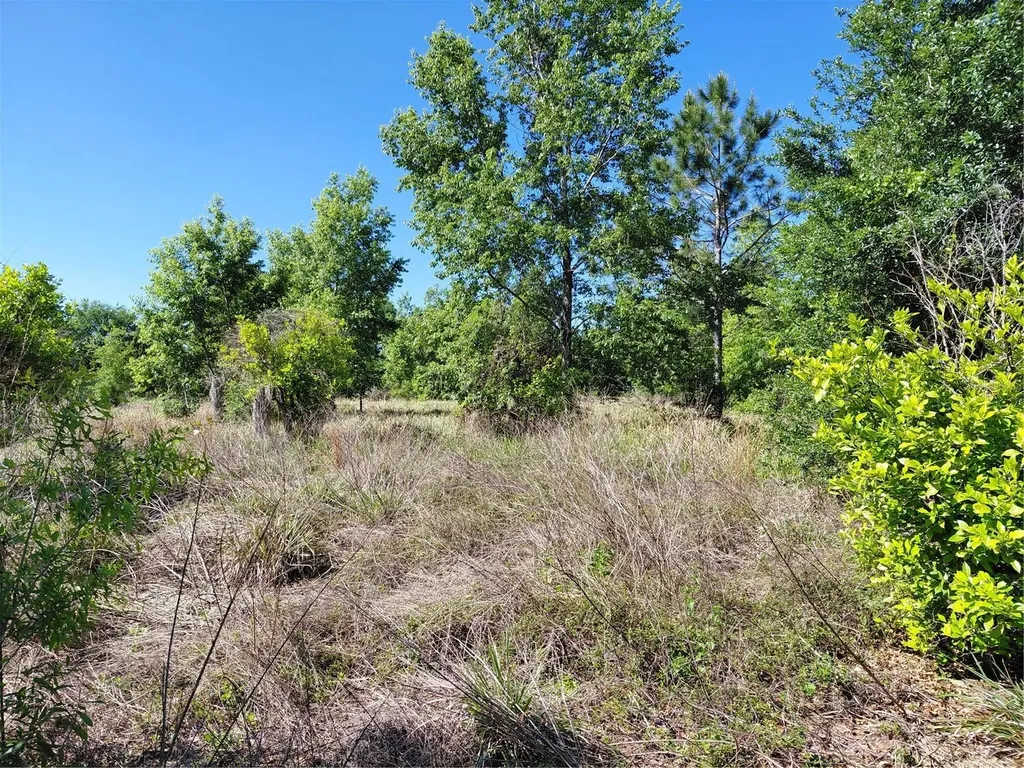 Coffee Creek Lane Clermont FL 34711