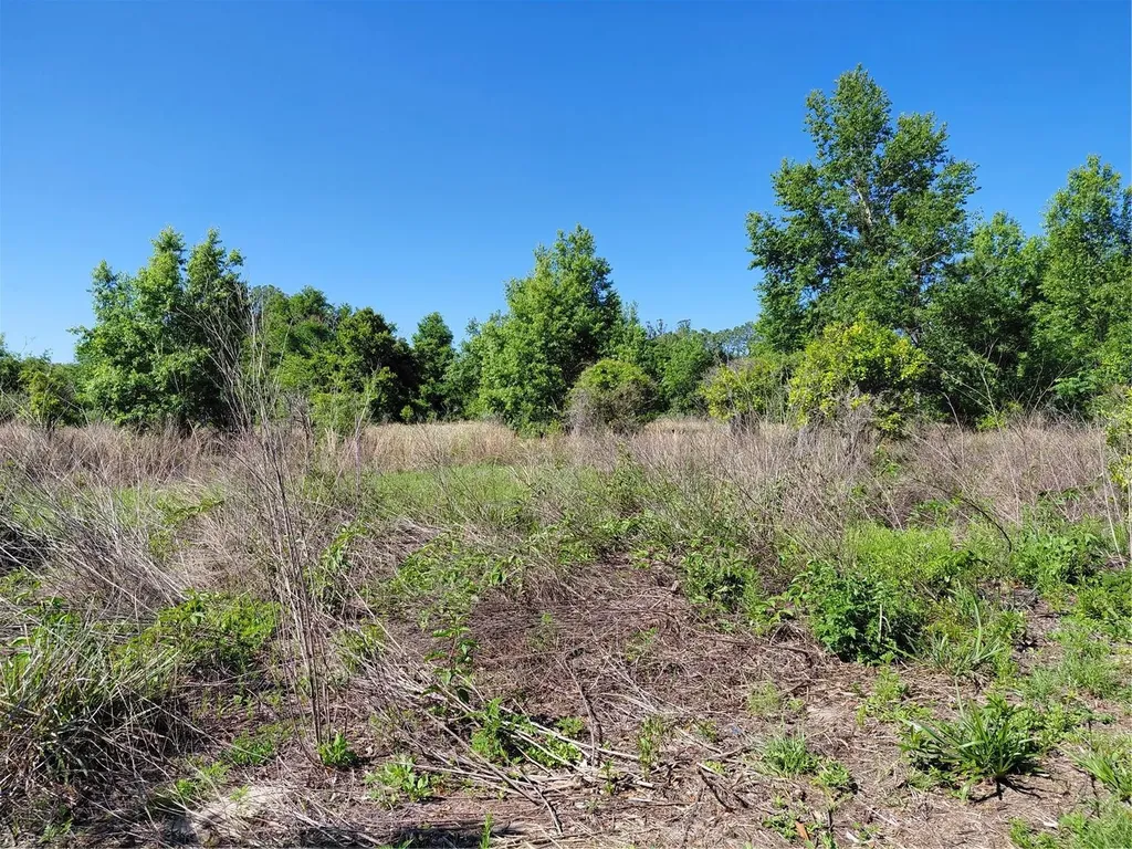 Coffee Creek Lane Clermont FL 34711
