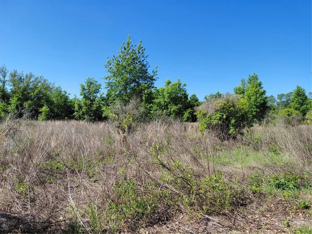 Coffee Creek Lane Clermont FL 34711