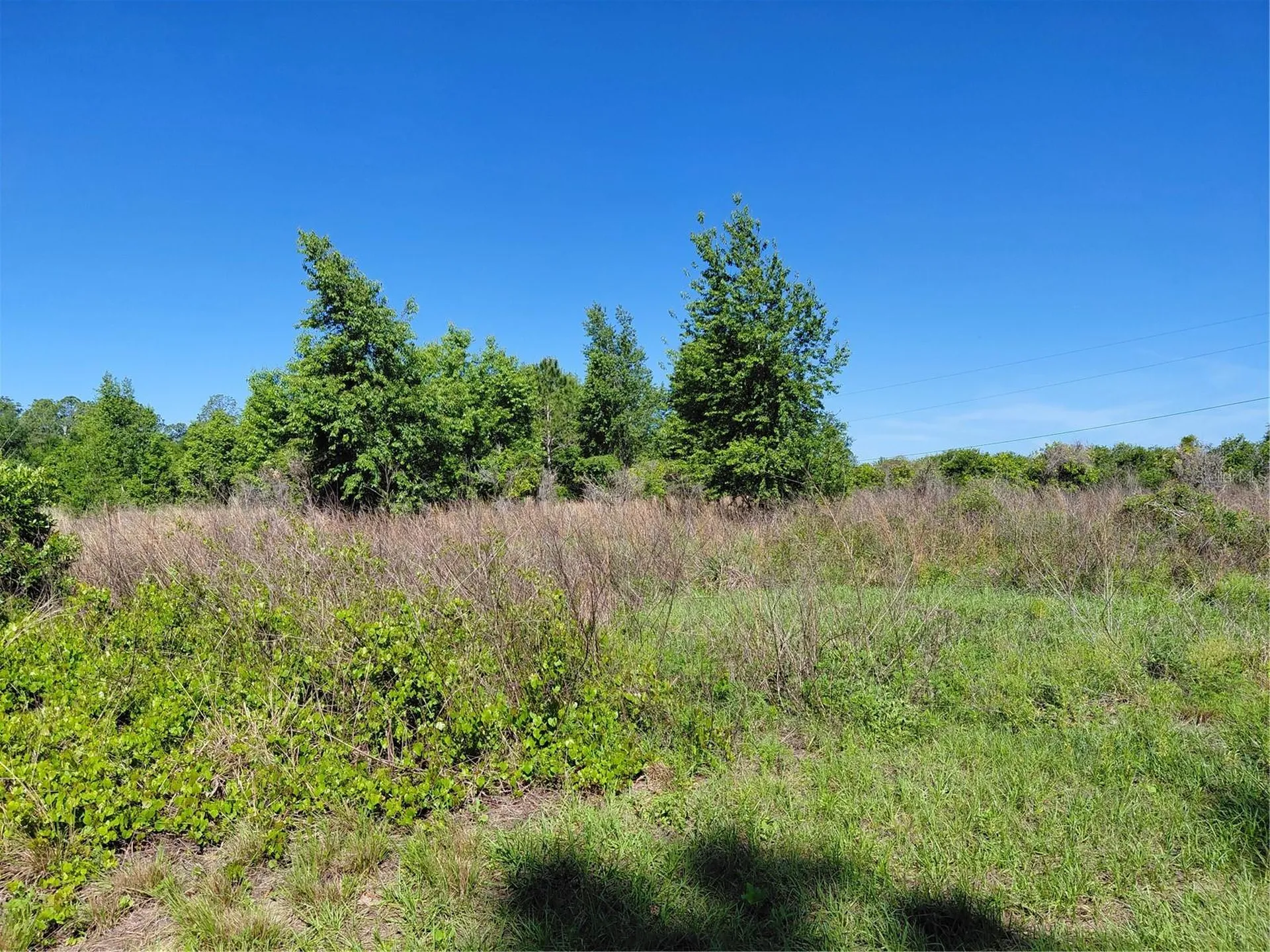 Coffee Creek Lane Clermont FL 34711