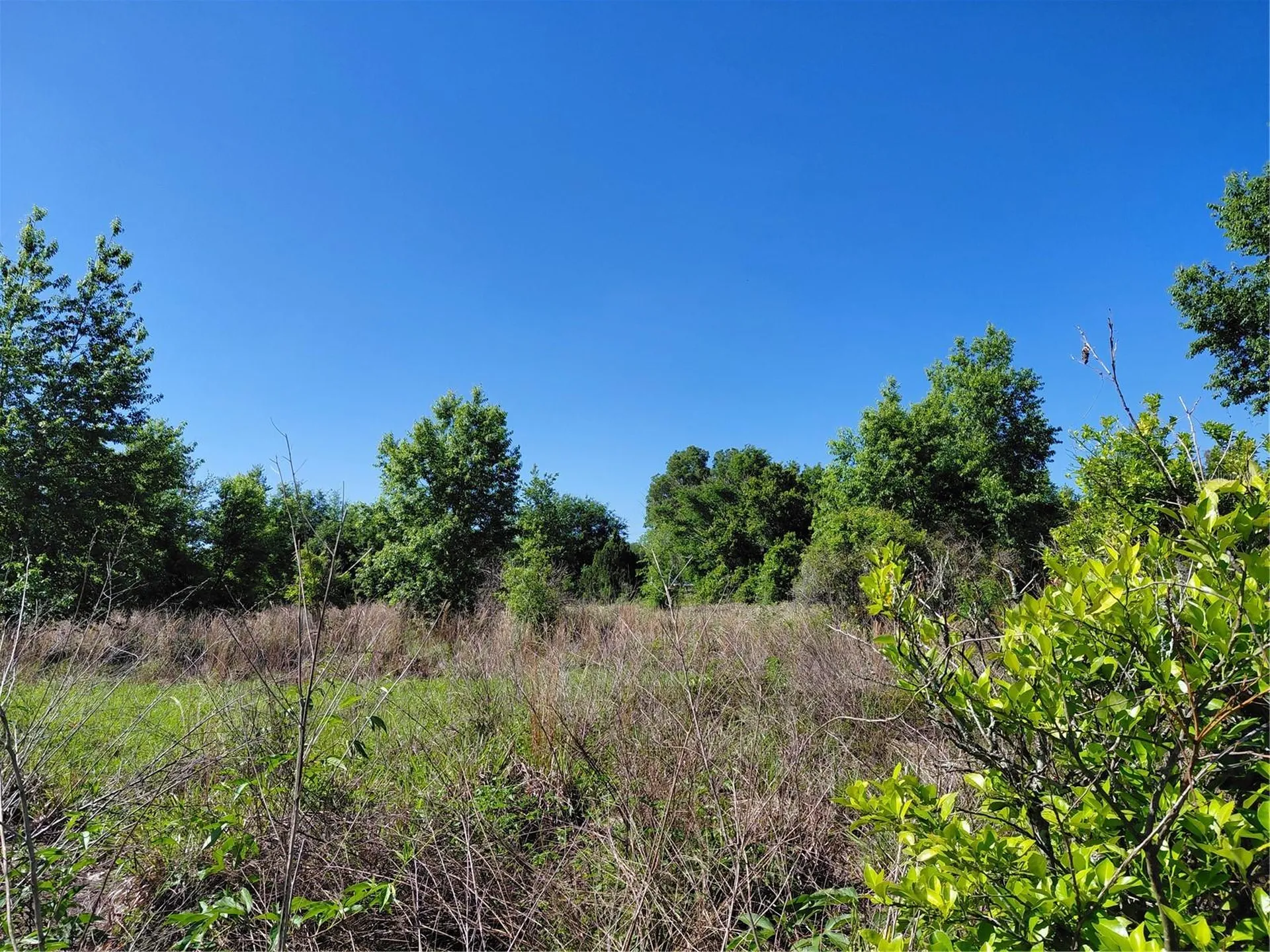 Coffee Creek Lane Clermont FL 34711