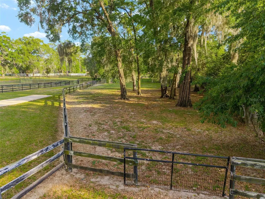 8117 SW 41st Place Road Ocala FL 34481