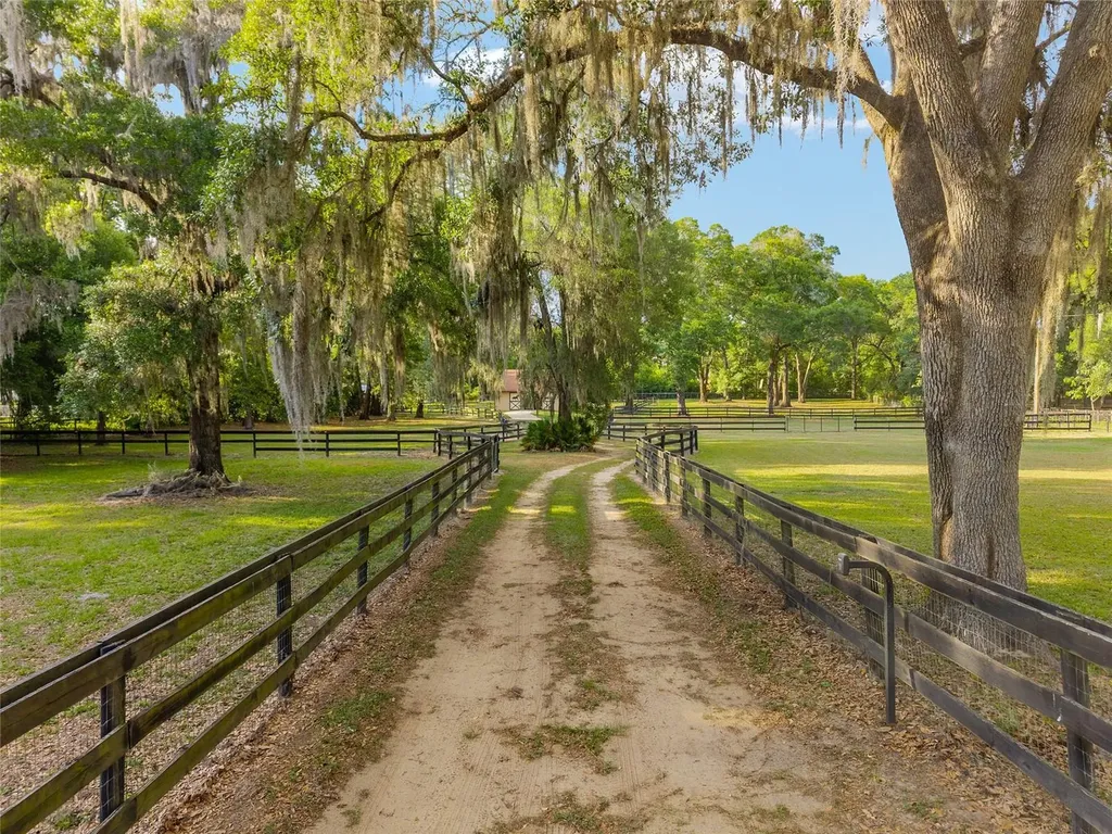 8117 SW 41st Place Road Ocala FL 34481