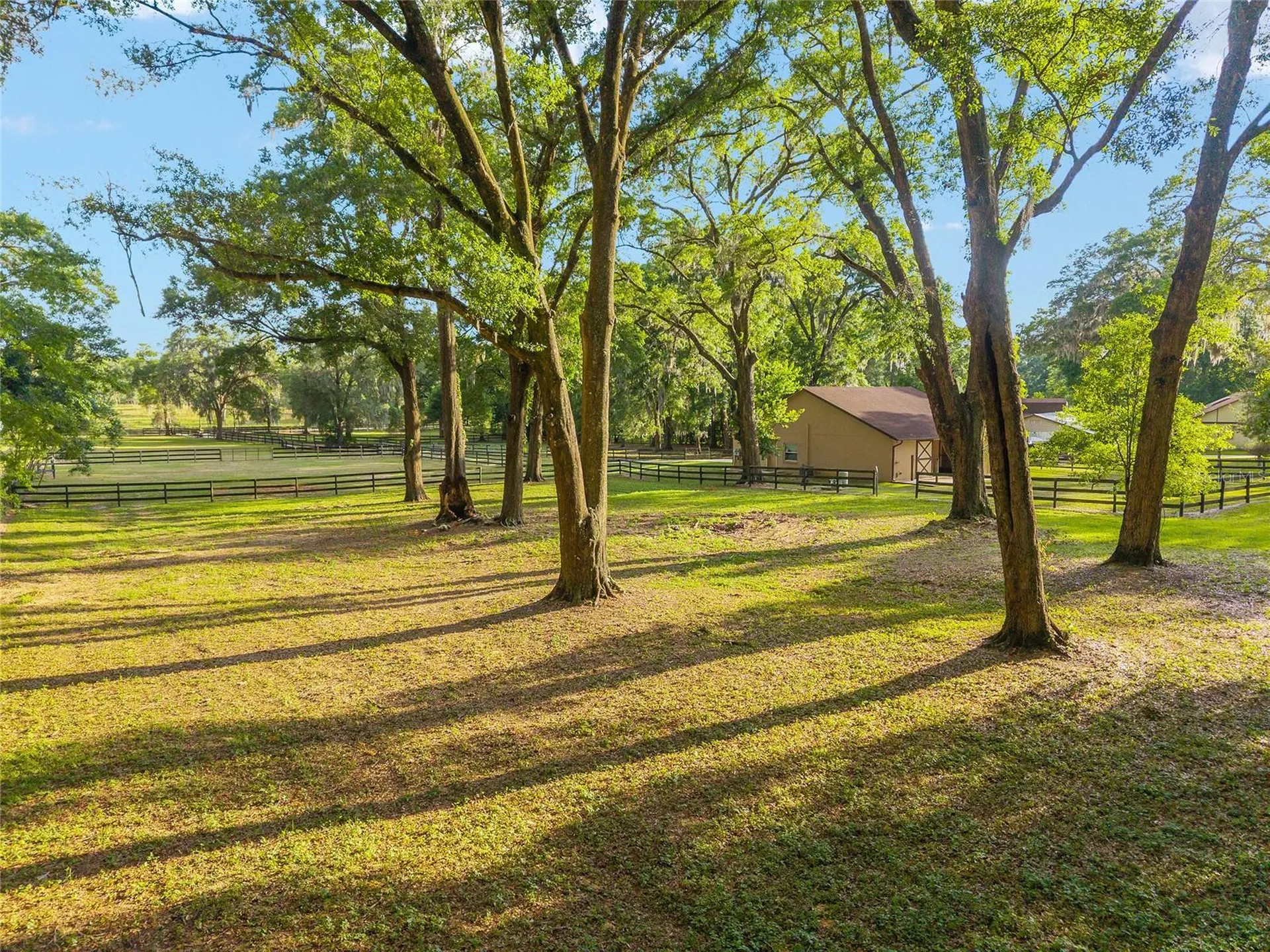 8117 SW 41st Place Road Ocala FL 34481