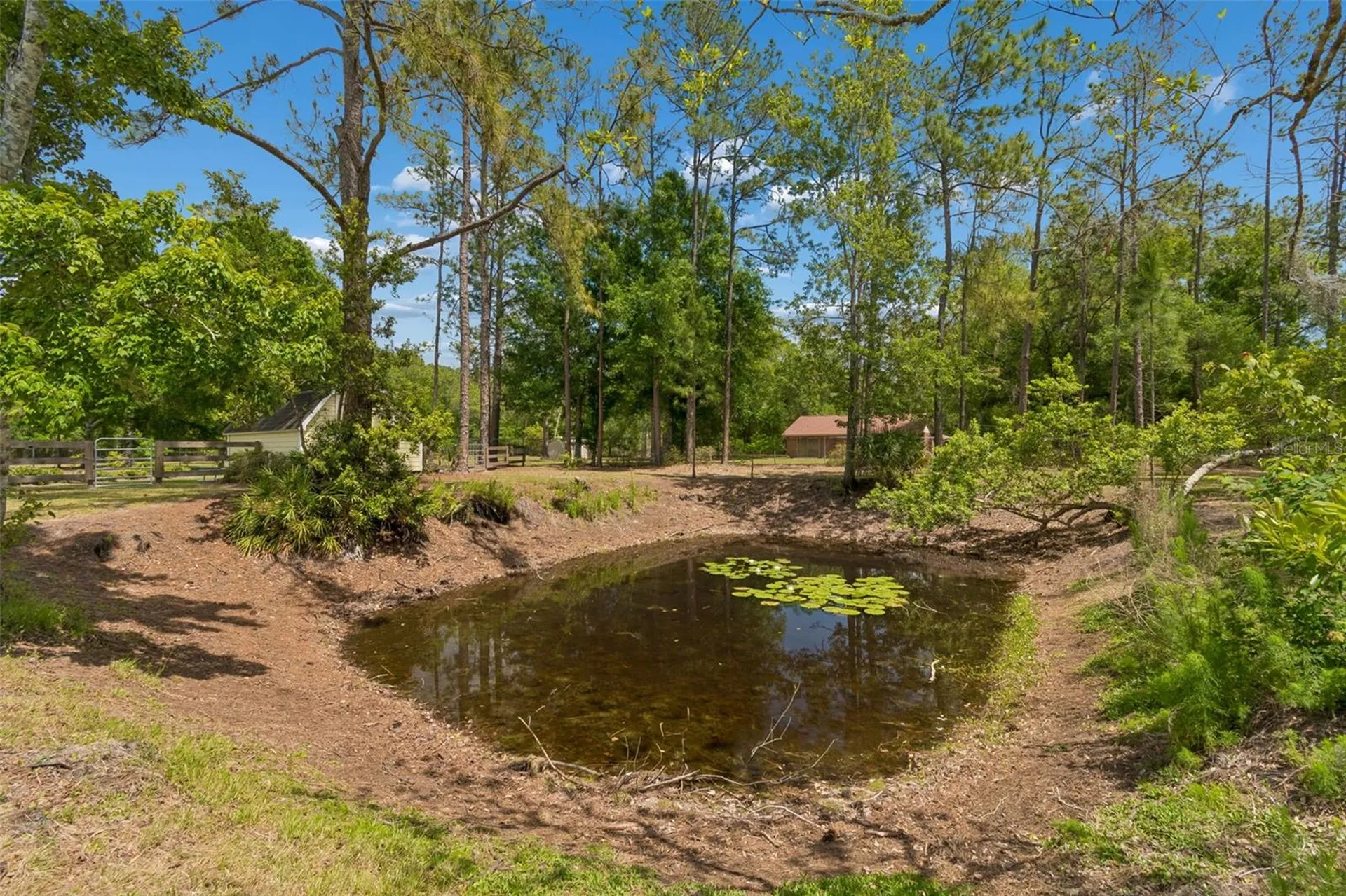 5438 Drexel Road Land O Lakes FL 34638