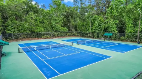 3862 Golden Meadow Court Oviedo FL 32765