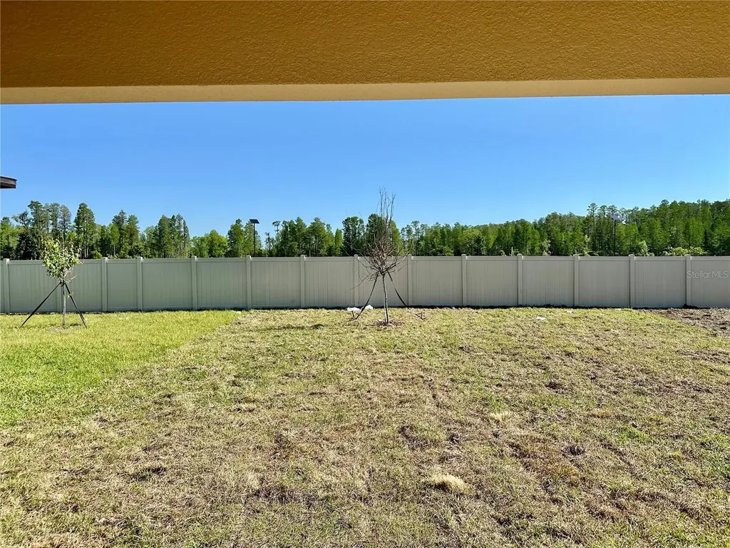17761 Pleasantview Boulevard Land O Lakes FL 34638