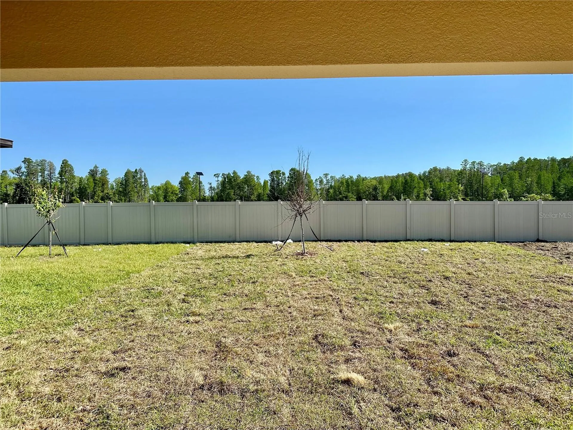 17761 Pleasantview Boulevard Land O Lakes FL 34638