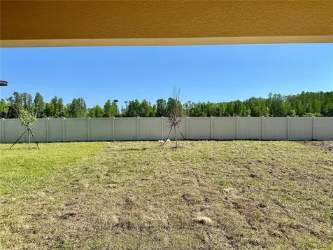 17761 Pleasantview Boulevard Land O Lakes FL 34638