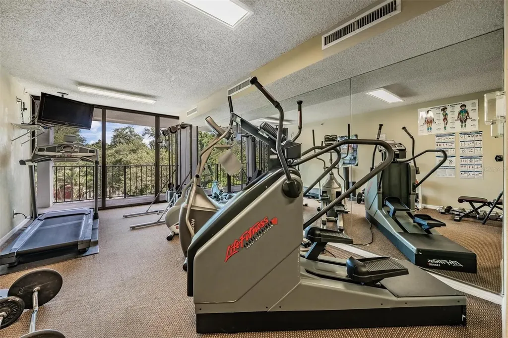3211 W Swann Avenue Tampa FL 33609