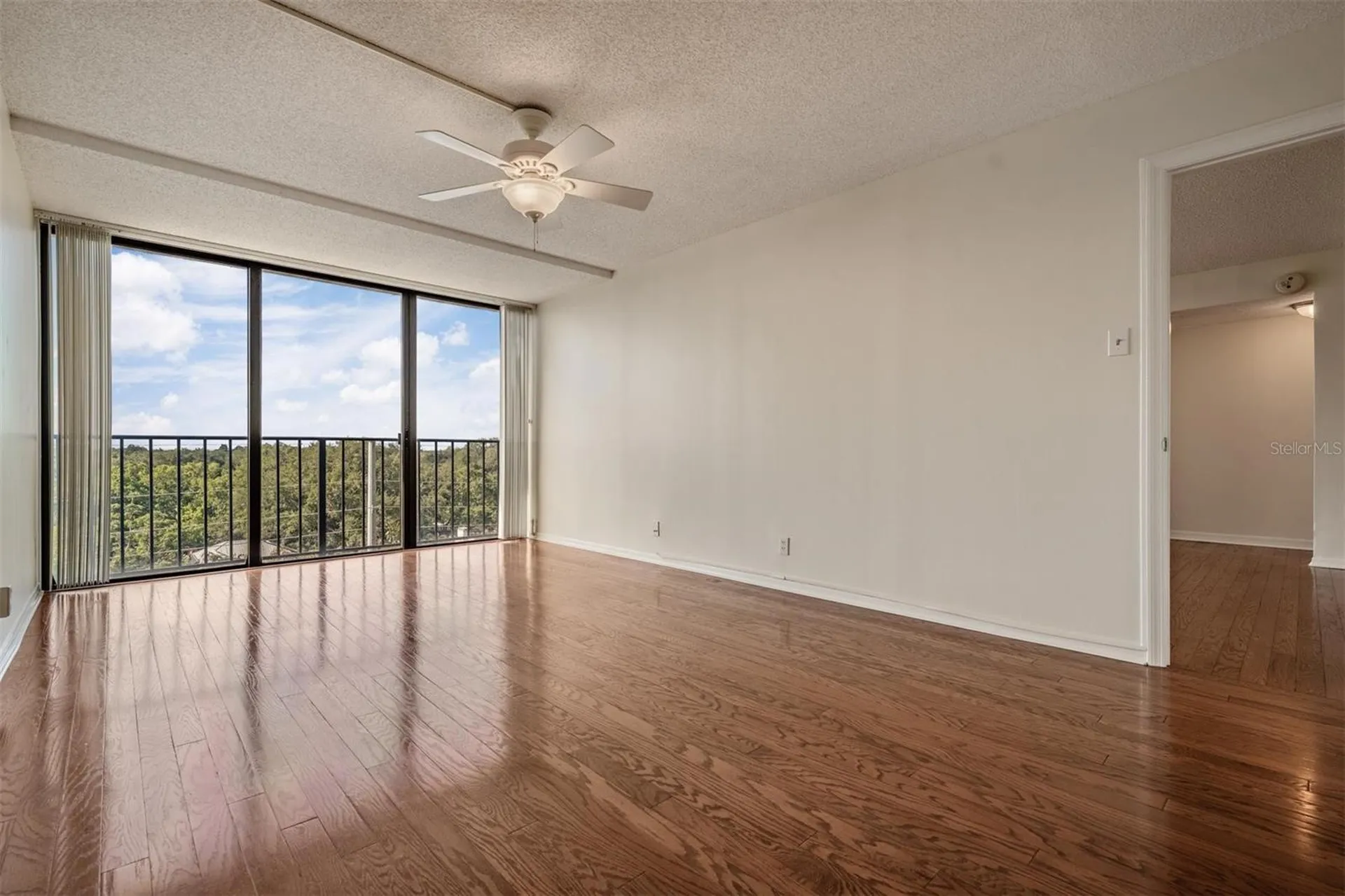 3211 W Swann Avenue Tampa FL 33609