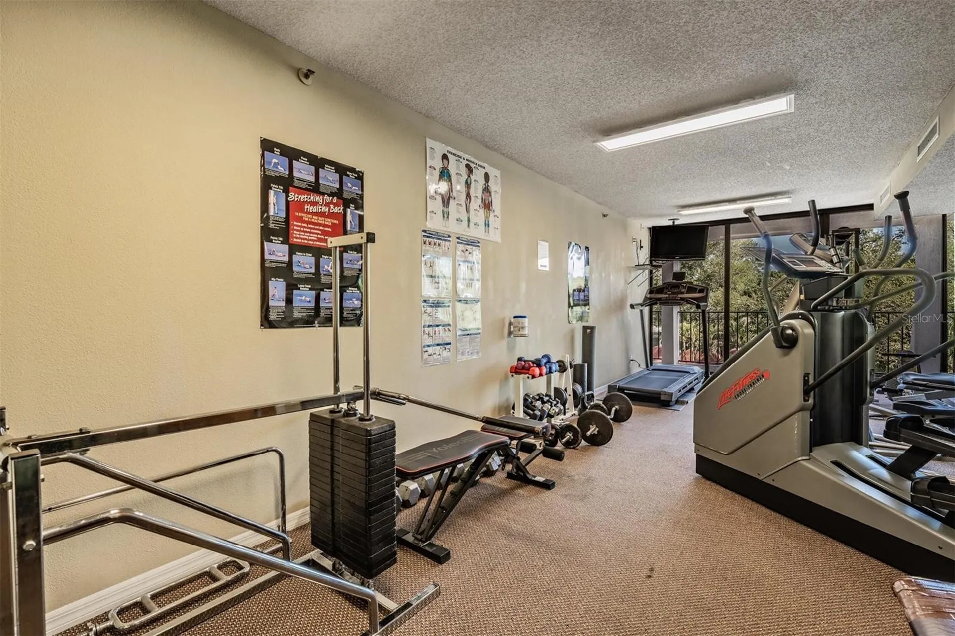 3211 W Swann Avenue Tampa FL 33609