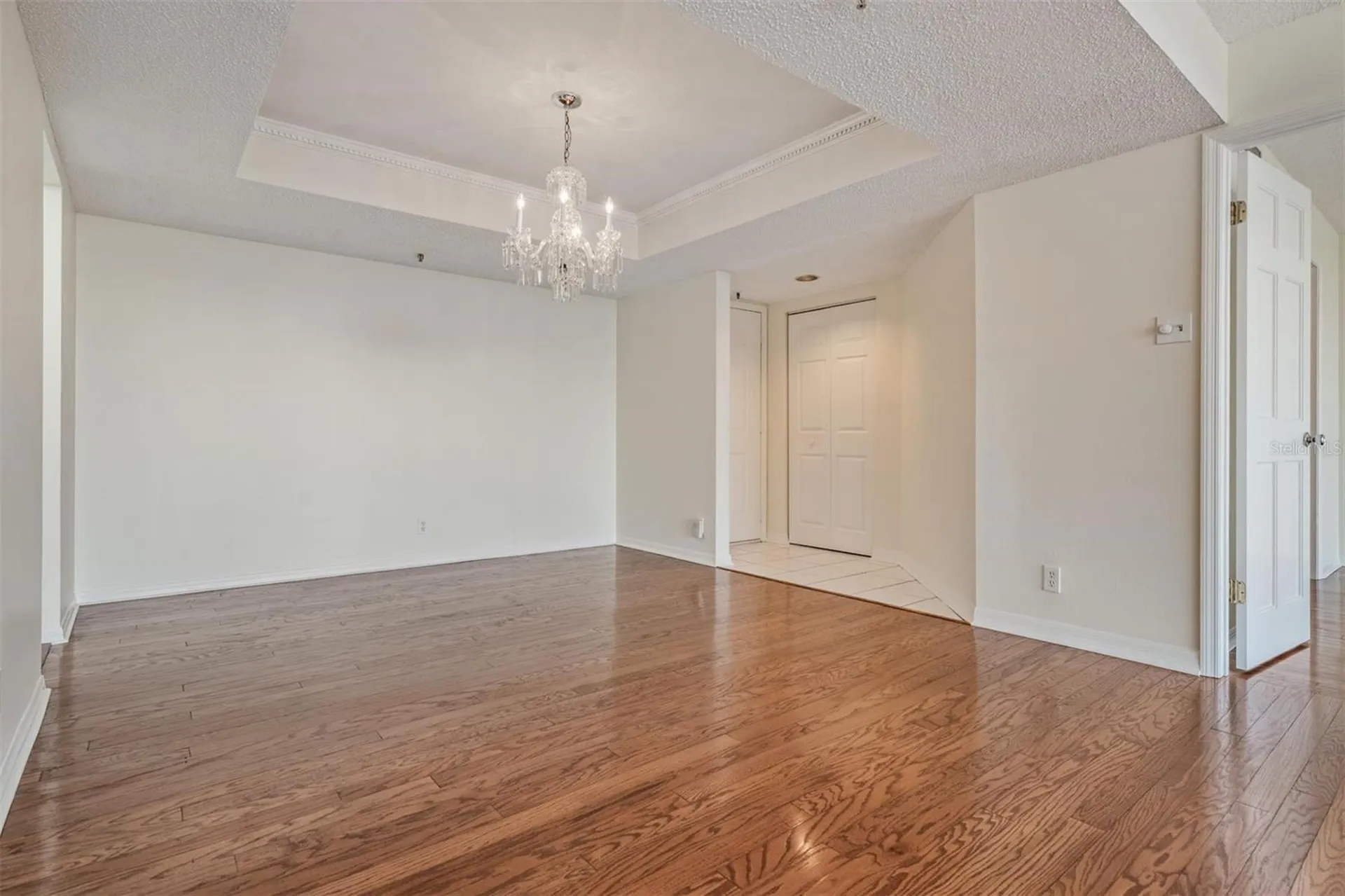 3211 W Swann Avenue Tampa FL 33609
