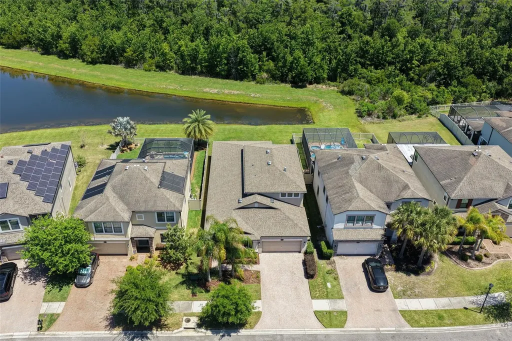 19546 Whispering Brook Drive Tampa FL 33647