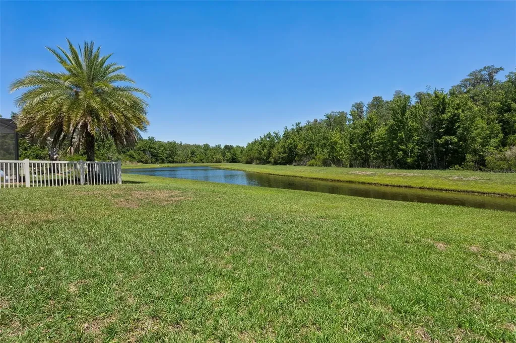 19546 Whispering Brook Drive Tampa FL 33647