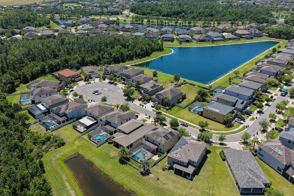 19546 Whispering Brook Drive Tampa FL 33647