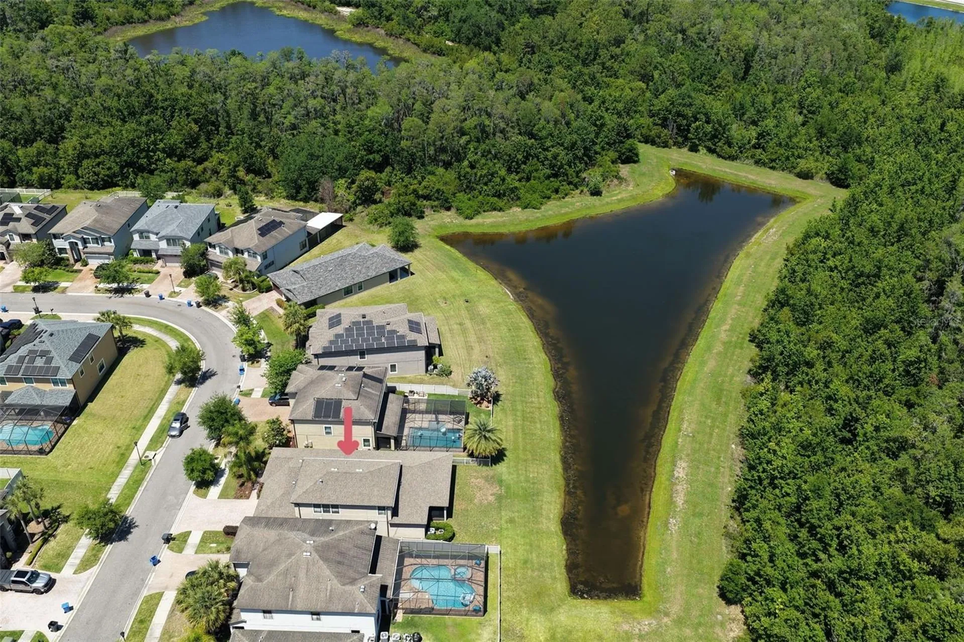 19546 Whispering Brook Drive Tampa FL 33647