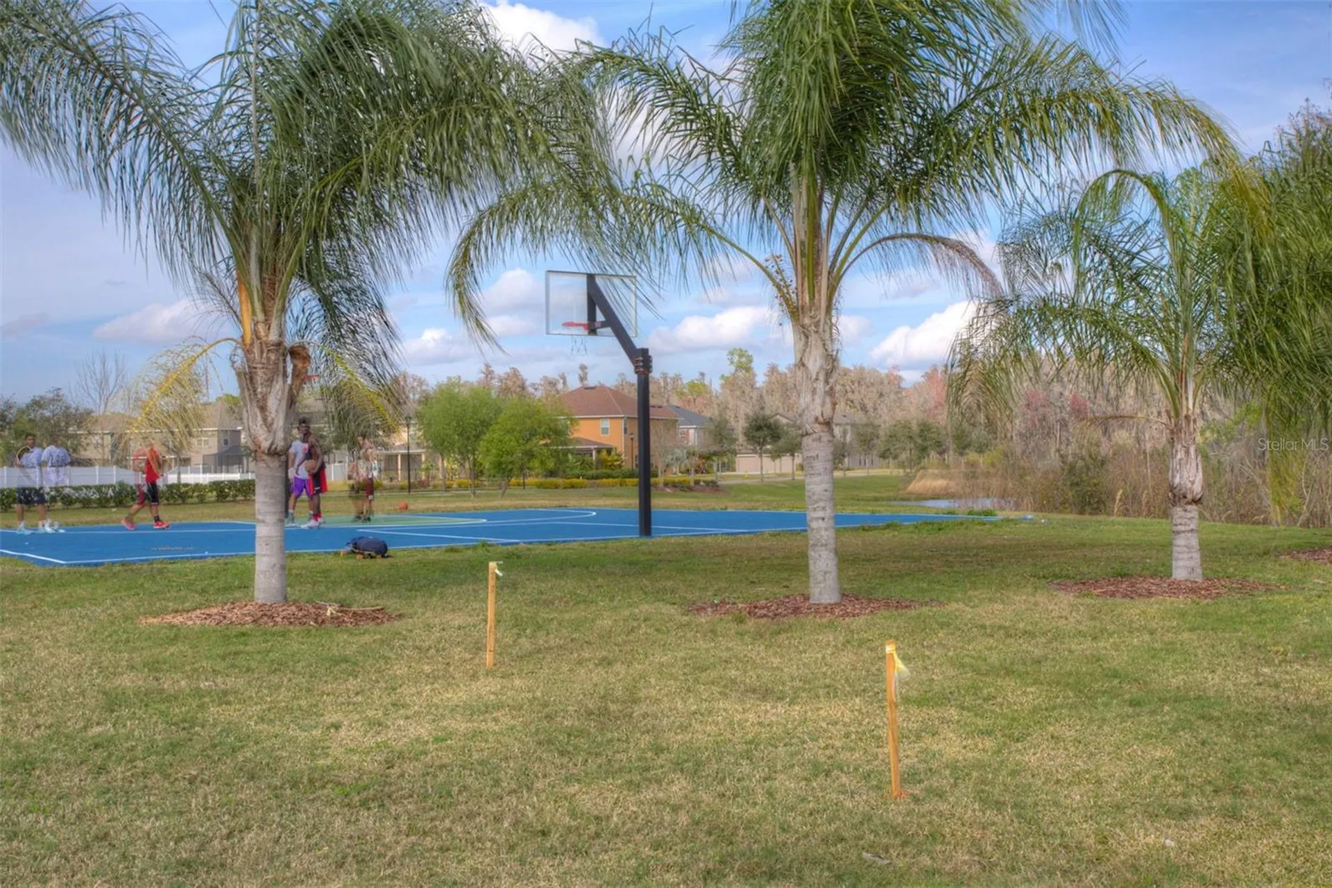 19546 Whispering Brook Drive Tampa FL 33647