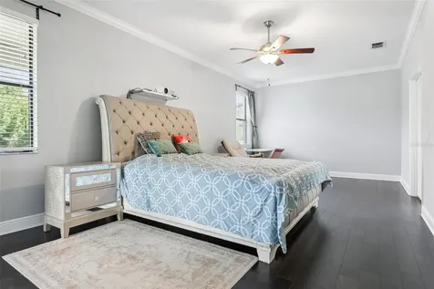 19546 Whispering Brook Drive Tampa FL 33647
