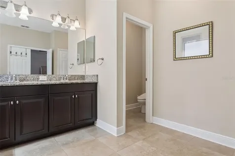 19546 Whispering Brook Drive Tampa FL 33647