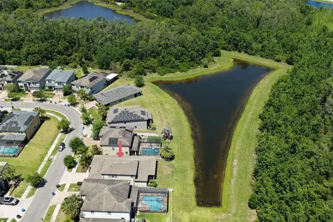 19546 Whispering Brook Drive Tampa FL 33647