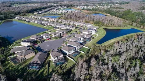 19546 Whispering Brook Drive Tampa FL 33647