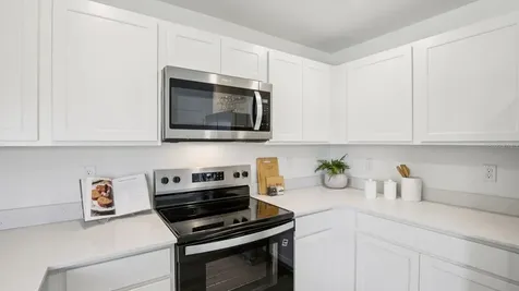 15037 Coltman Hill Drive Wimauma FL 33598